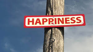 A red HAPPINESS sign nailed to a raw telephone pole against a blue Florida sky