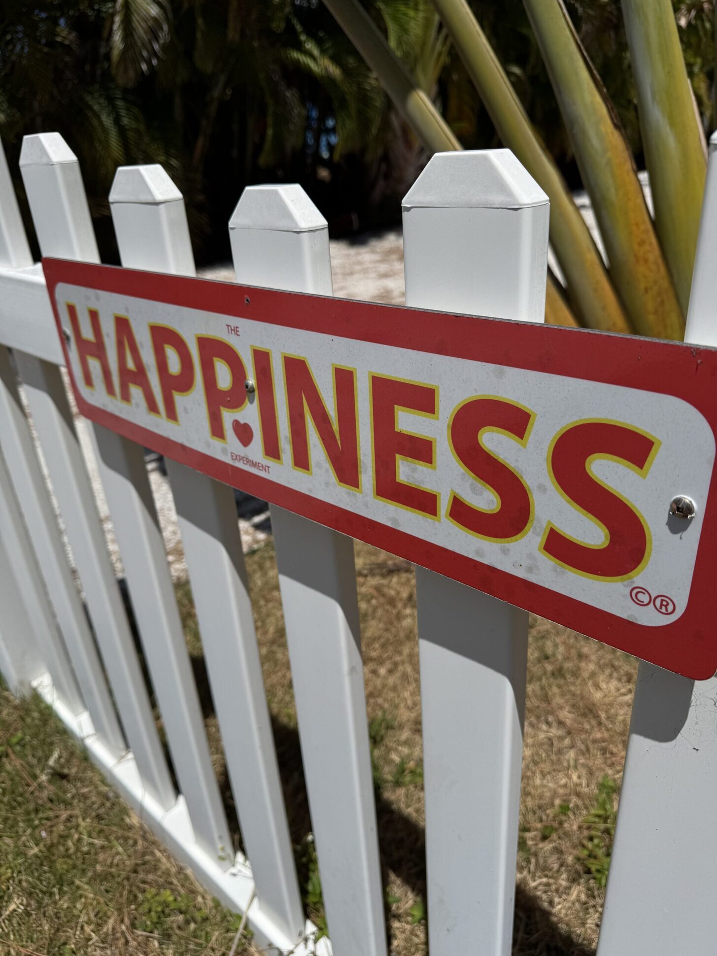 Close-up of a HAPPINESS sign screwed to a white picket fence, showing the gold-outlined red lettering and the heart replacing the i-dot